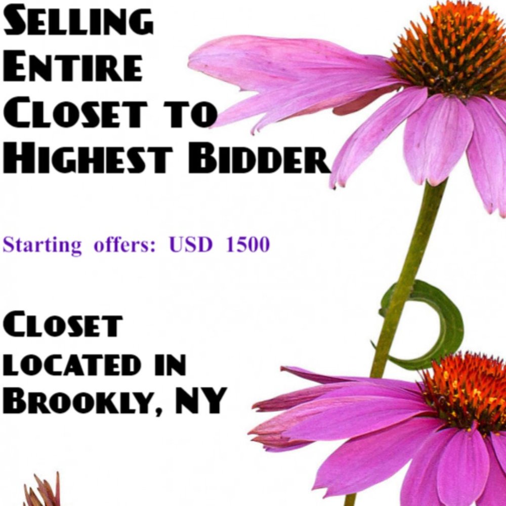 Selling entire closet to highest bidder